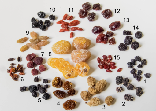 Getrocknete Beeren